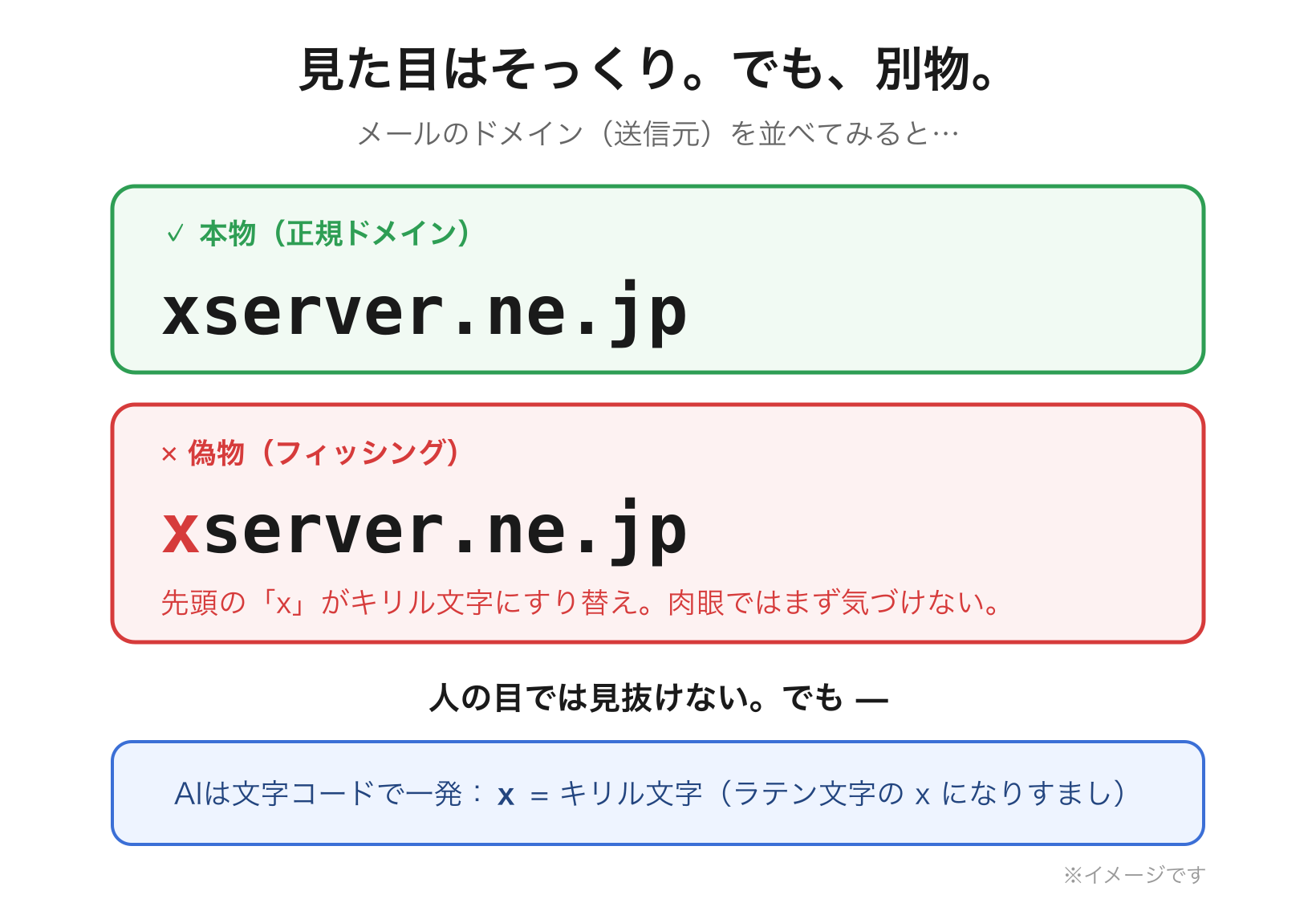 本物と偽物のドメイン比較
